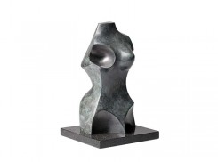 Torso Feminino