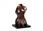 female torso