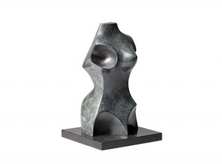 Torso Feminino
