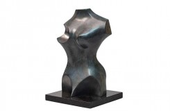 Torso Feminino