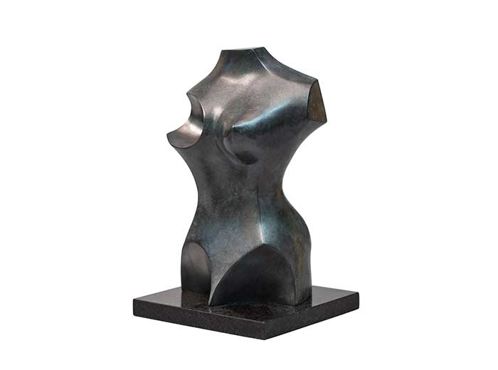 Torso Feminino