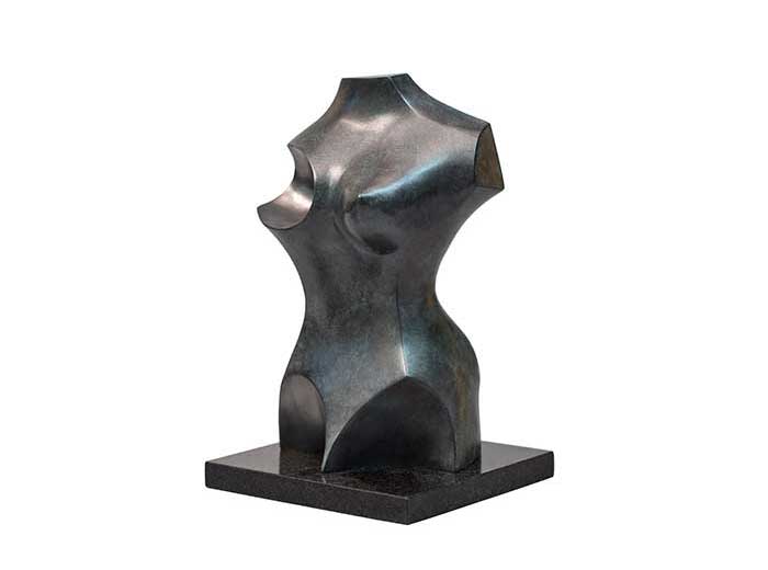 Torso Feminino